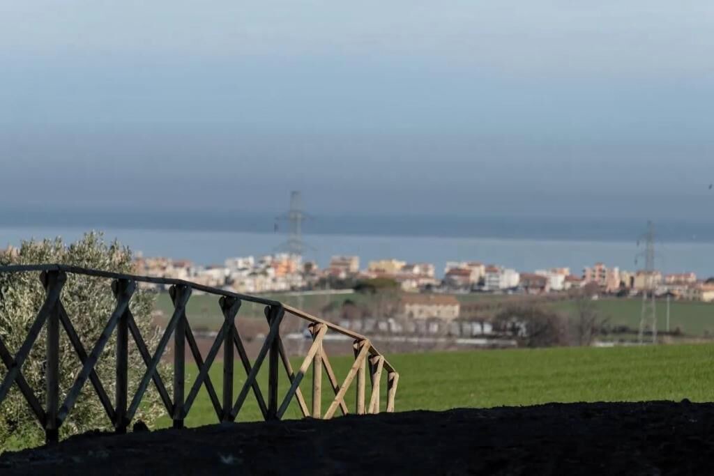 Photo of Others in Senigallia
