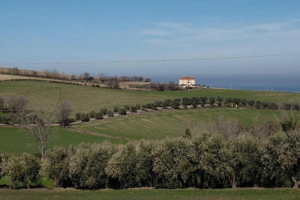 Photo of Outdoor in Senigallia