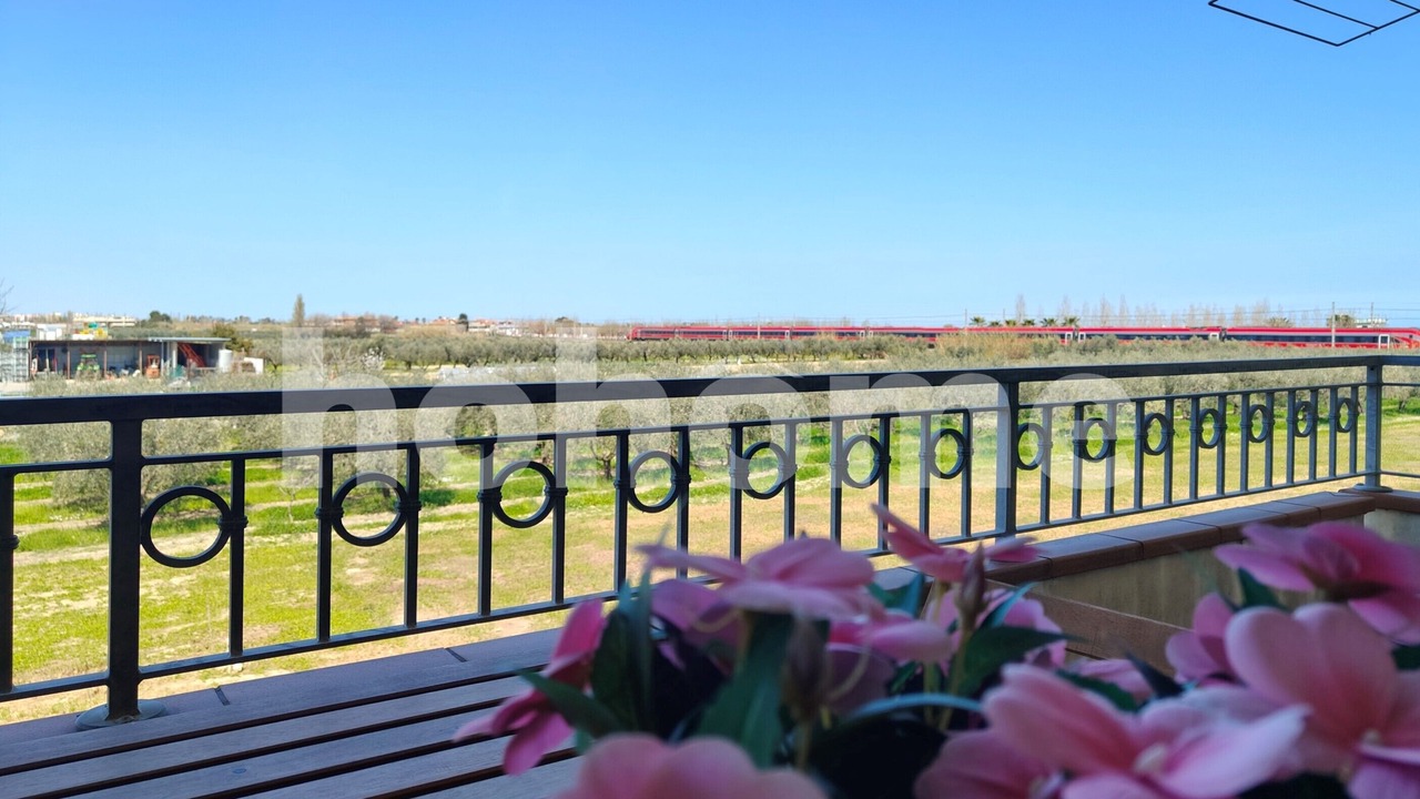 Photo of Outdoor in Cologna Spiaggia
