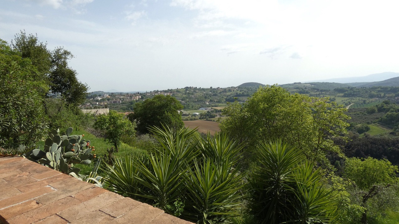 Photo of Outdoor in Amelia