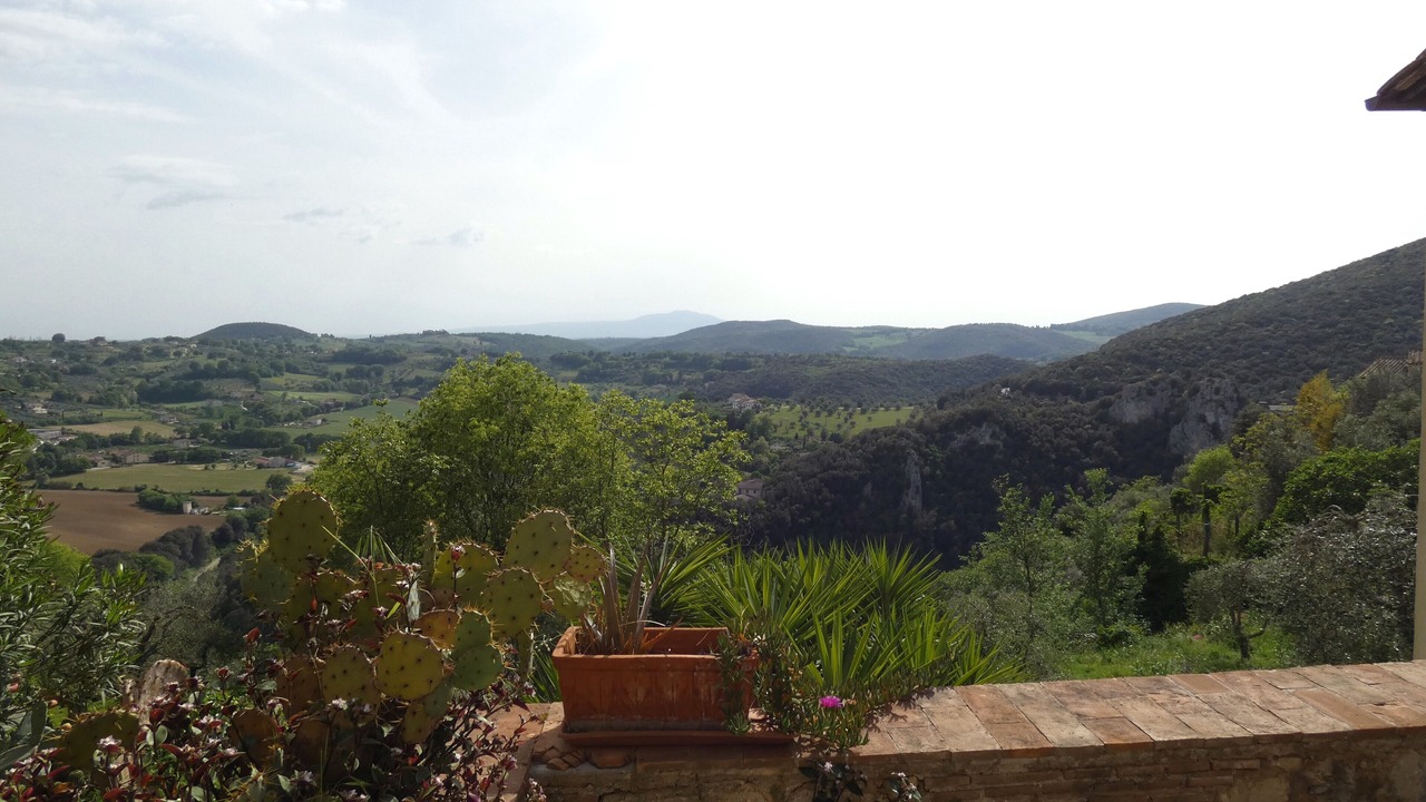 Photo of Outdoor in Amelia