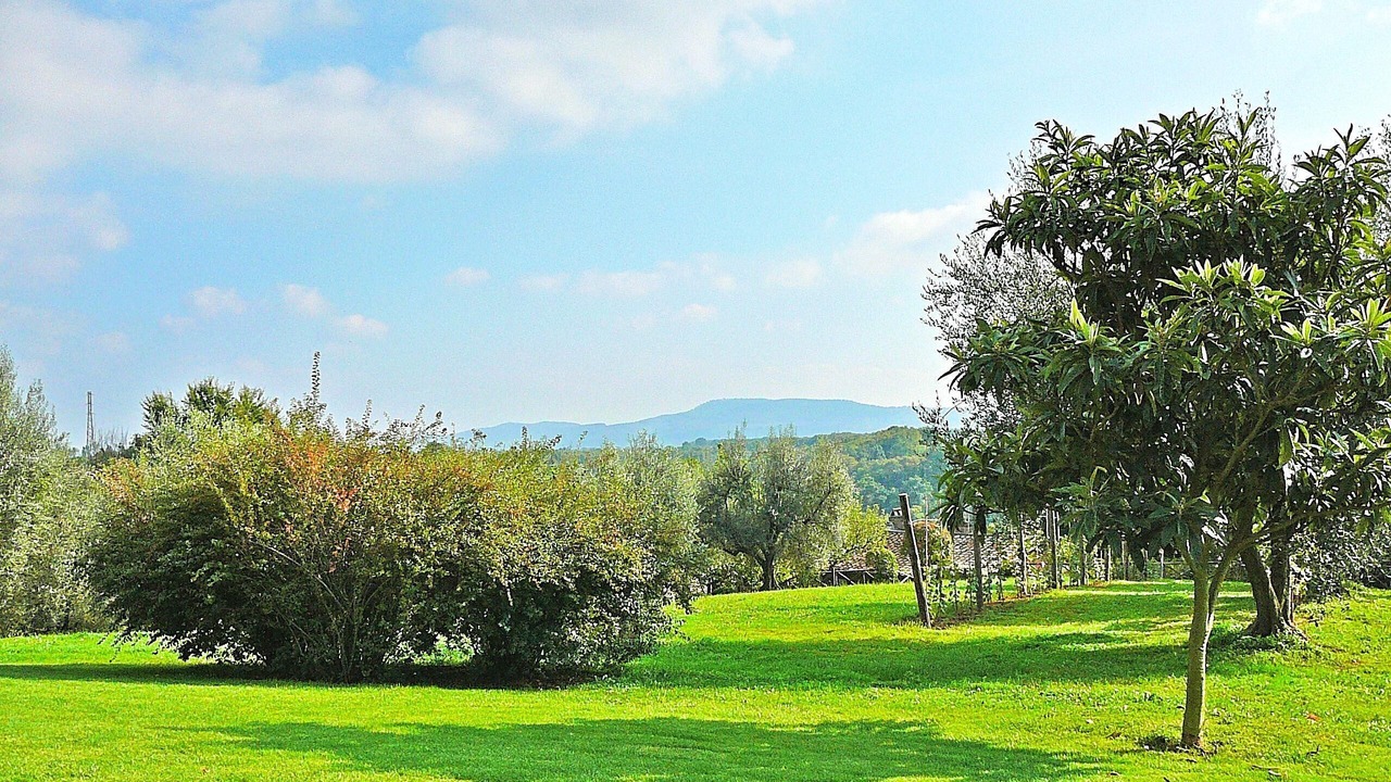 Photo of Outdoor in Capranica