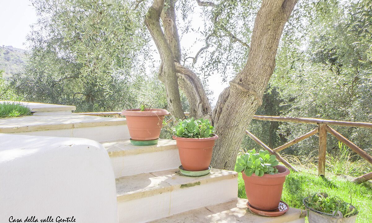 Photo of Outdoor in Mattinata