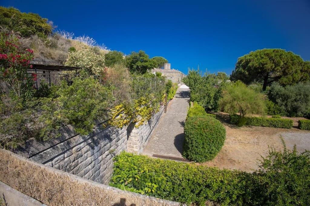 Photo of Outdoor in Fonte Blanda