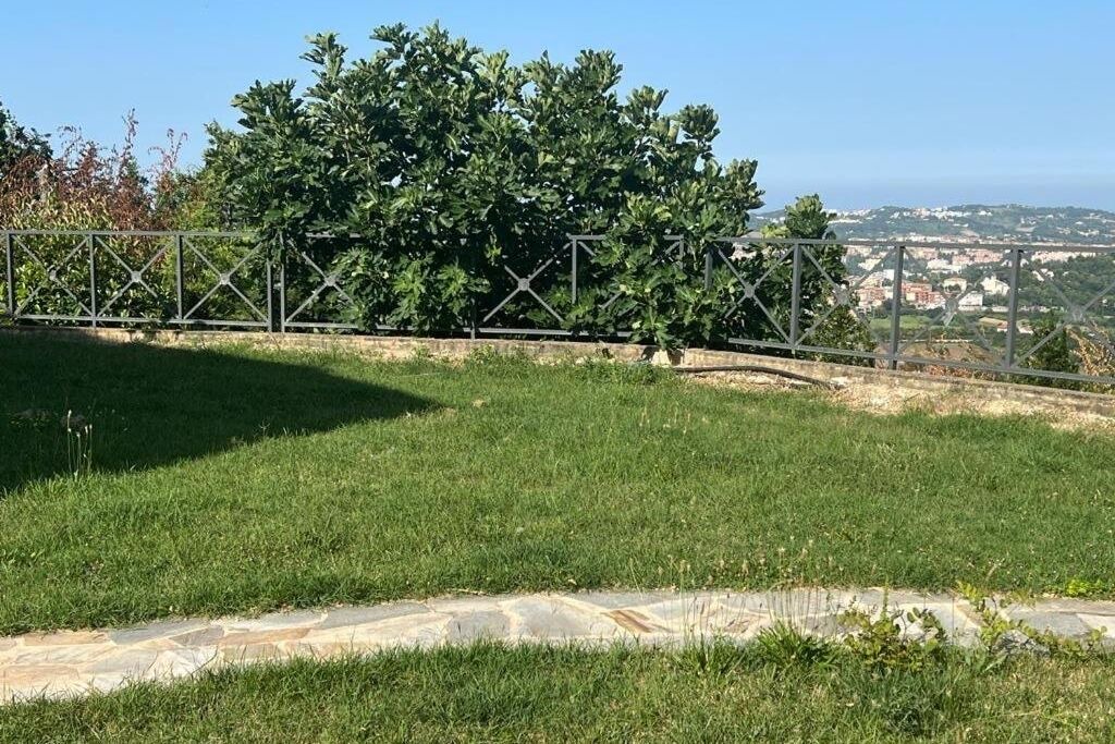 Photo of Outdoor in Ancona