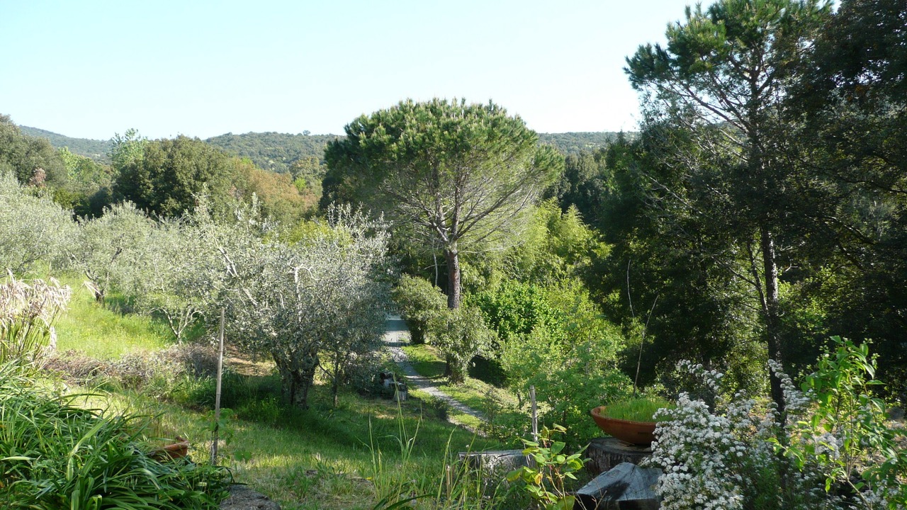 Photo of Others in Castiglione della Pescaia