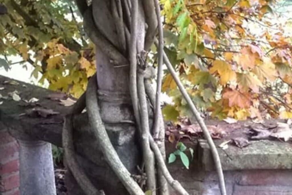 Photo of Outdoor in Asti