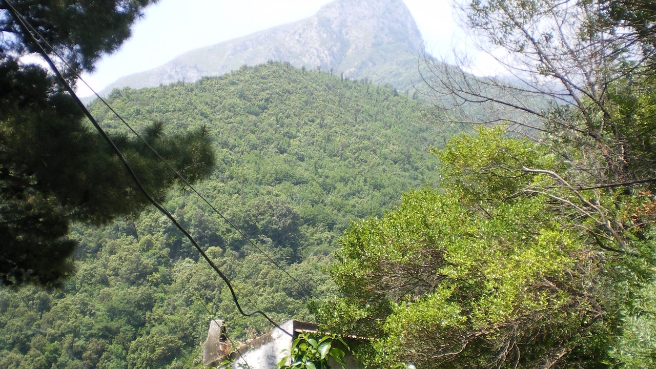 Photo of Others in Vietri sul Mare