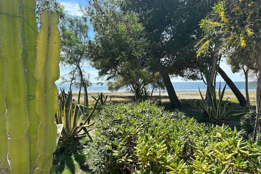 Photo of Outdoor in San Lorenzo