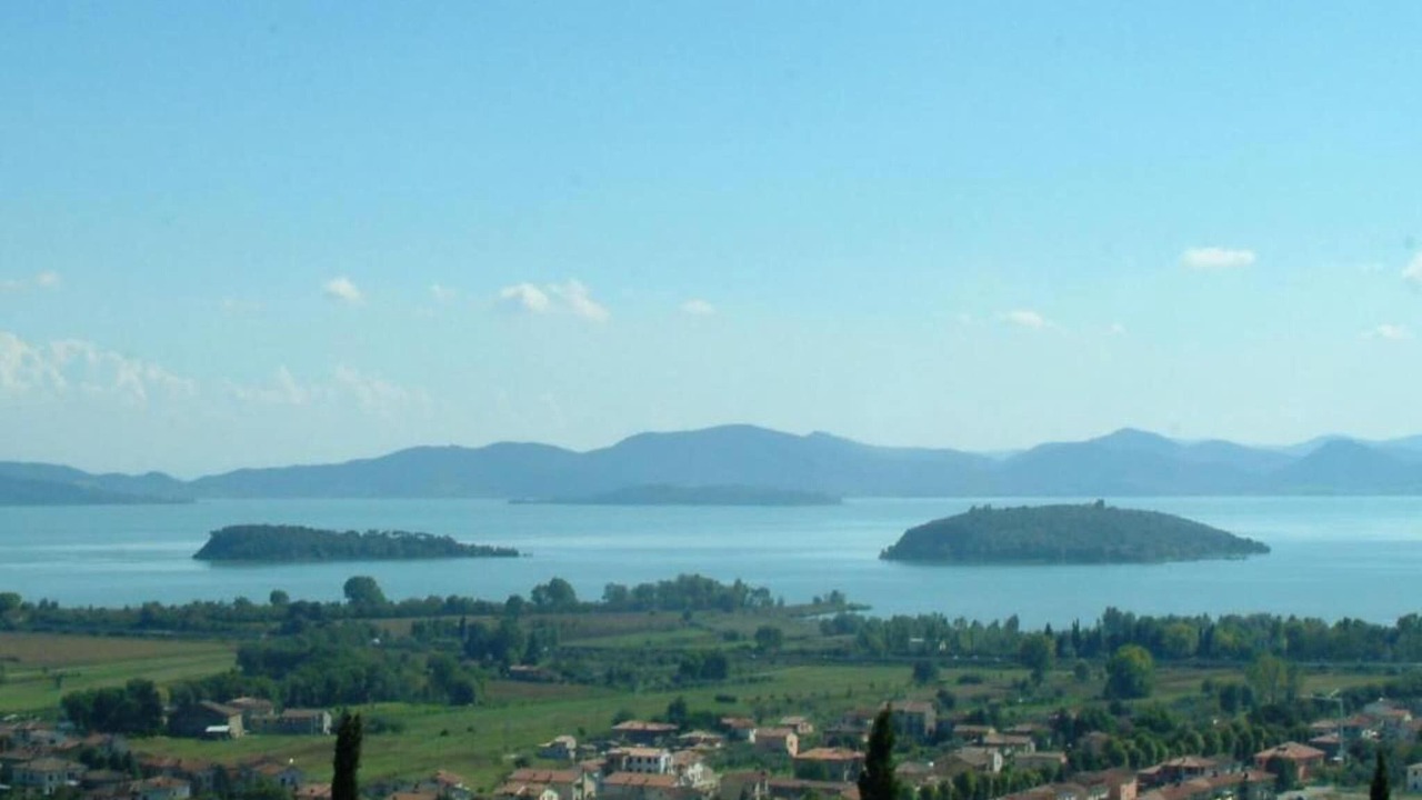 Photo of Others in Tuoro sul Trasimeno