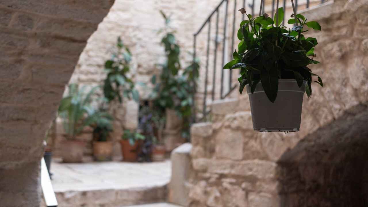 Photo of Outdoor in Giovinazzo