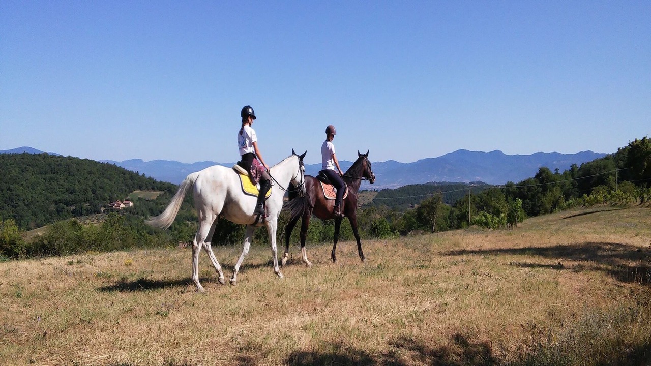 Photo of Others in Monte Santa Maria Tiberina