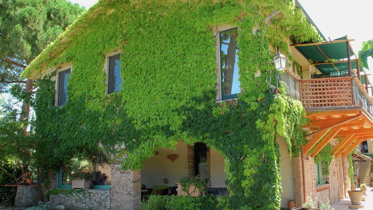Photo of Outdoor in Marsciano