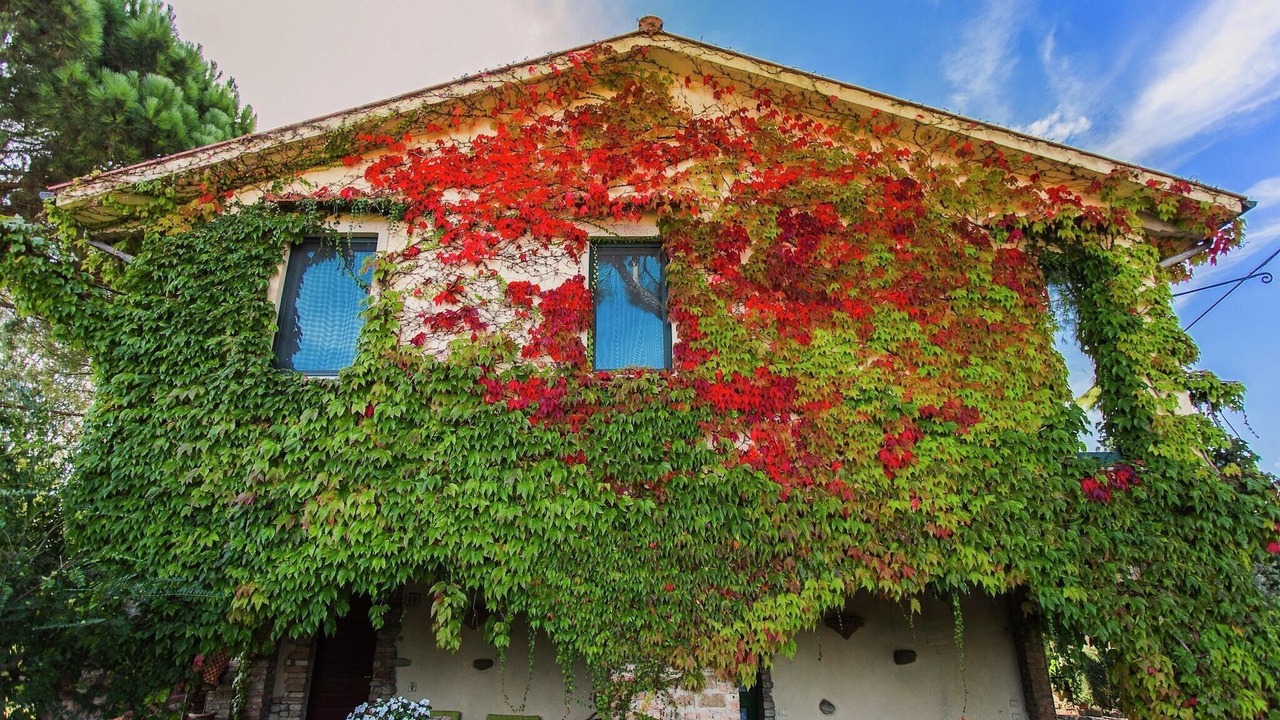 Photo of Outdoor in Marsciano