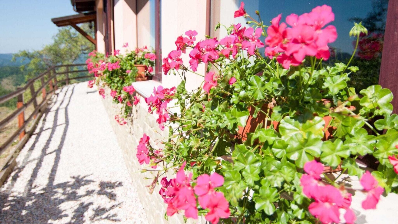 Photo of Patio Balcony in Apecchio