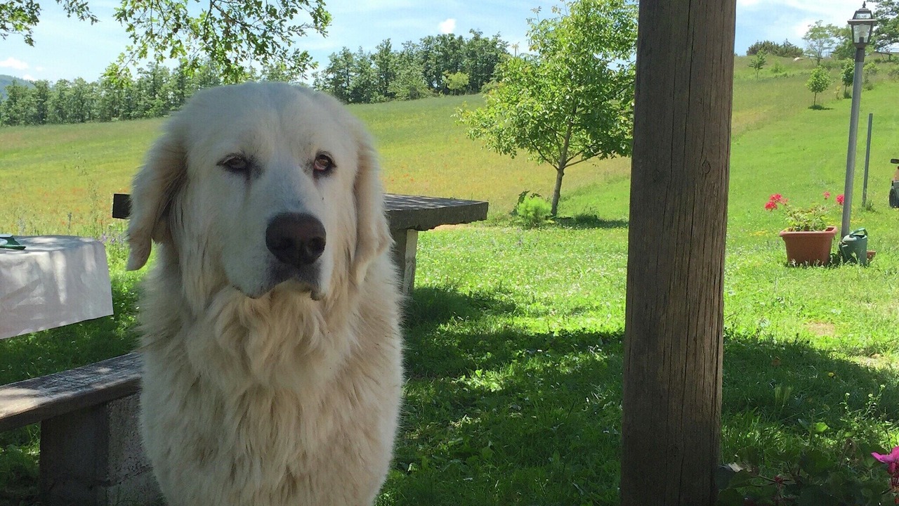 Photo of Outdoor in Apecchio