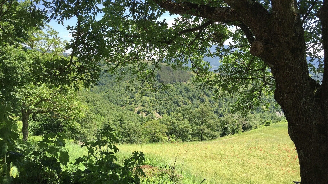 Photo of Others in Apecchio