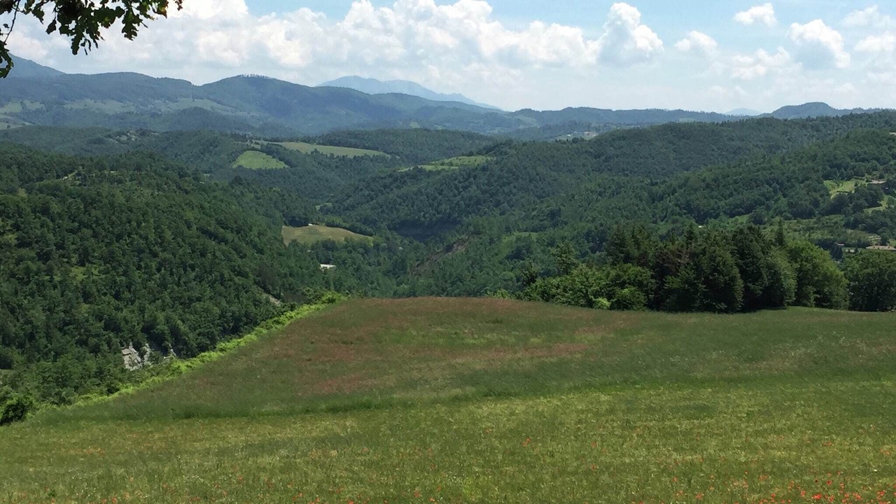 Photo of Others in Apecchio