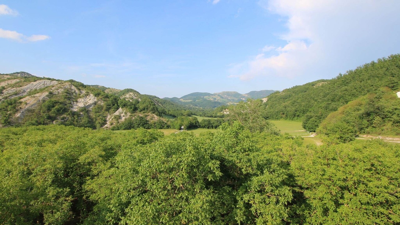 Photo of Others in Apecchio