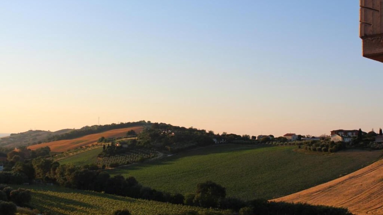 Photo of Others in Fermo