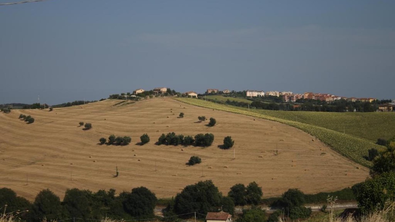Photo of Others in Fermo