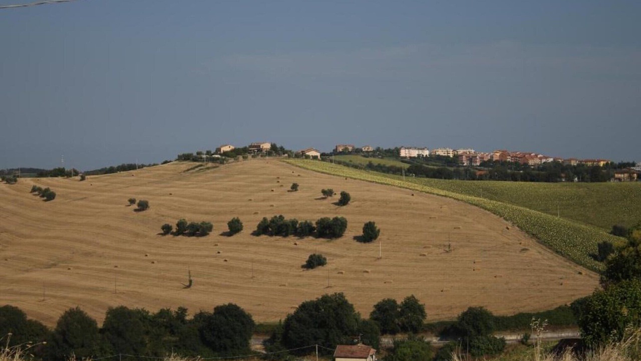 Photo of Others in Fermo