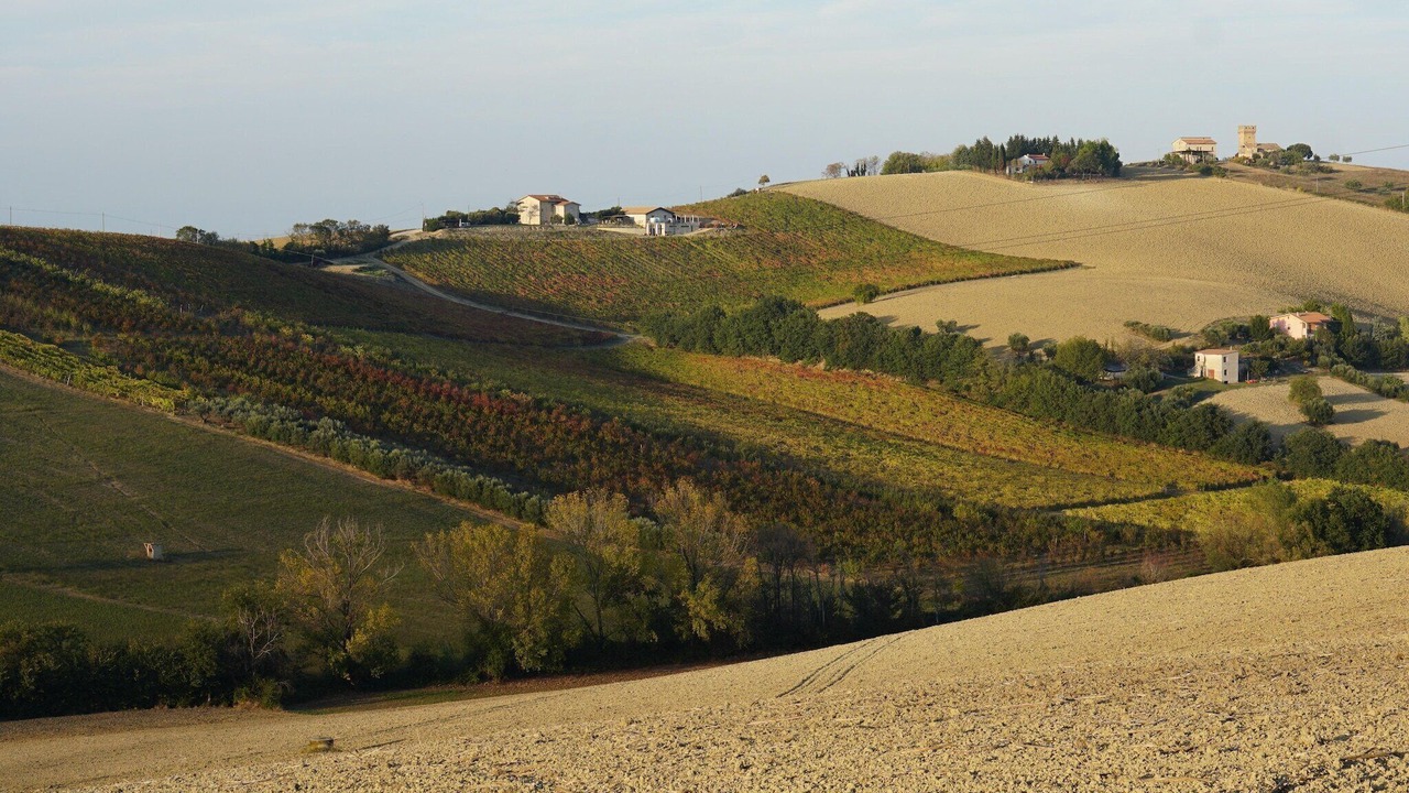 Photo of Others in Fermo