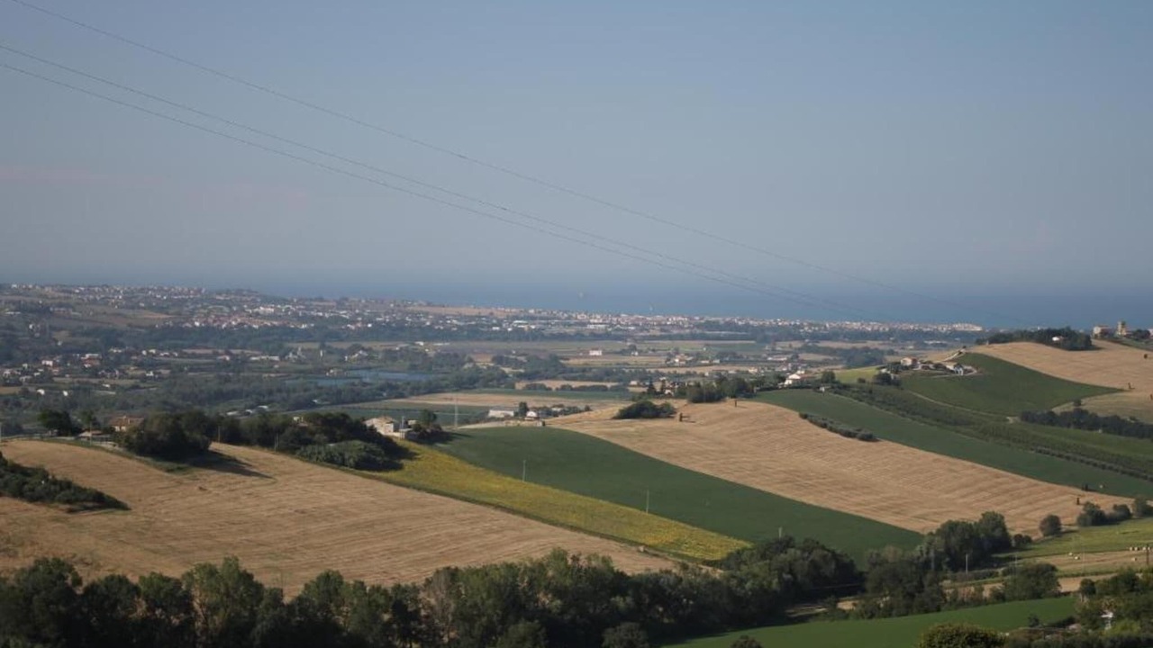 Photo of Others in Fermo