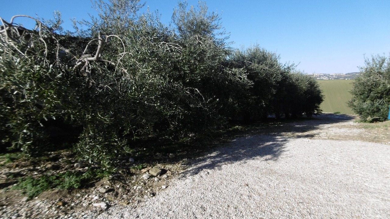 Photo of Outdoor in Fermo