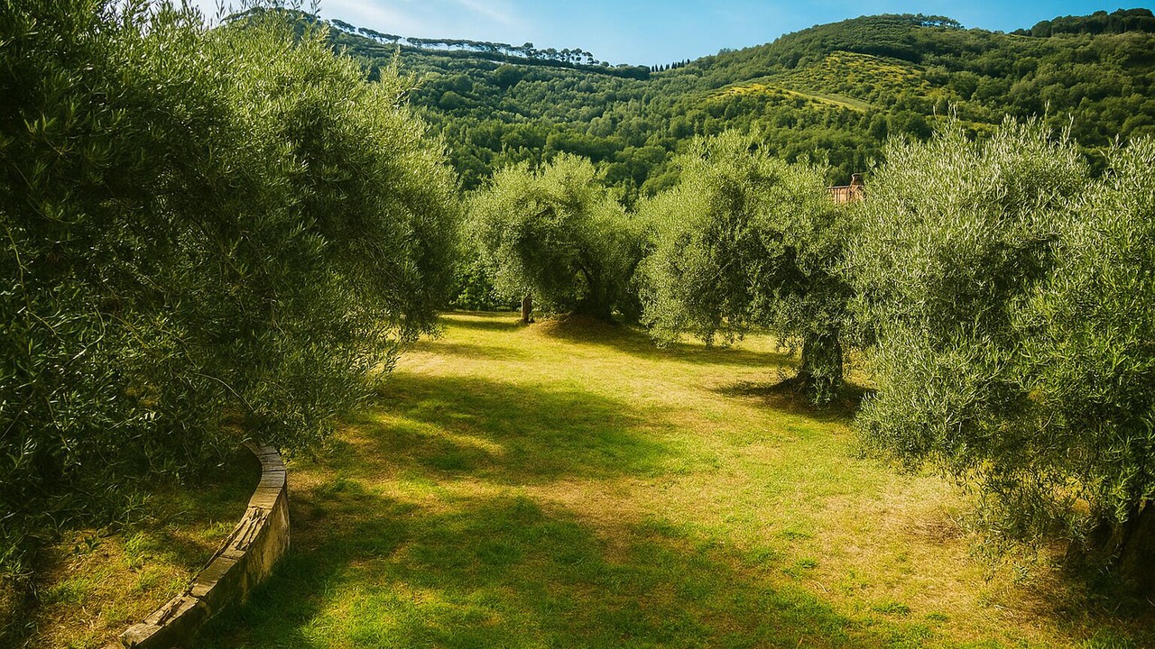 Photo of Outdoor in Montelaguardia
