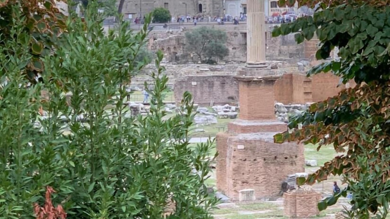 Photo of Outdoor in Campitelli