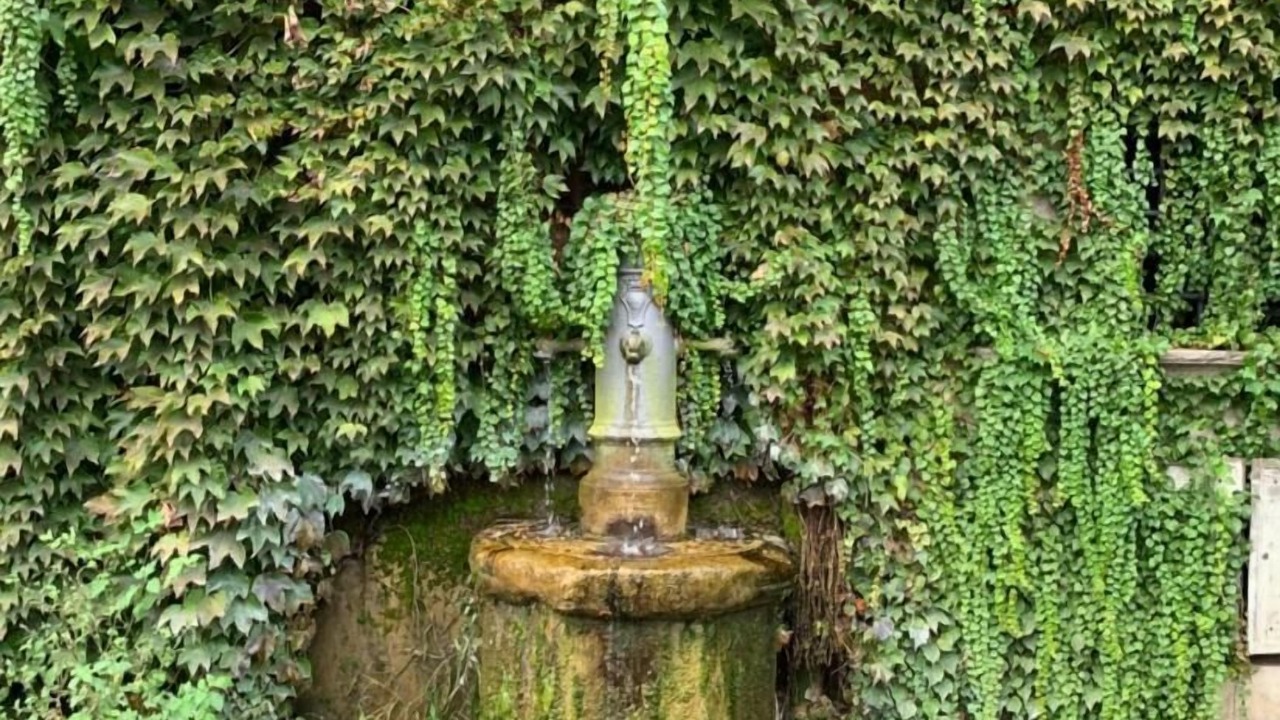 Photo of Outdoor in Campitelli