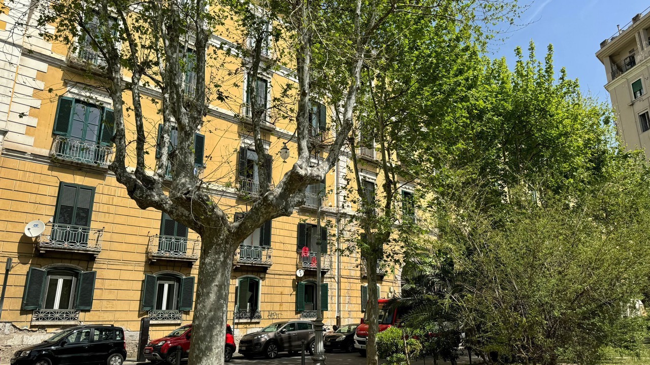 Photo of Outdoor in Historical Downtown Salerno