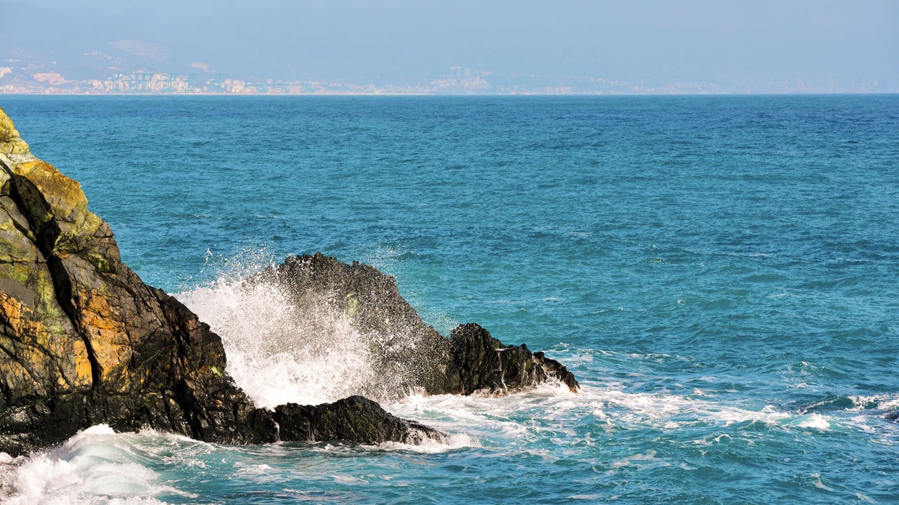 Photo of Others in Cogoleto