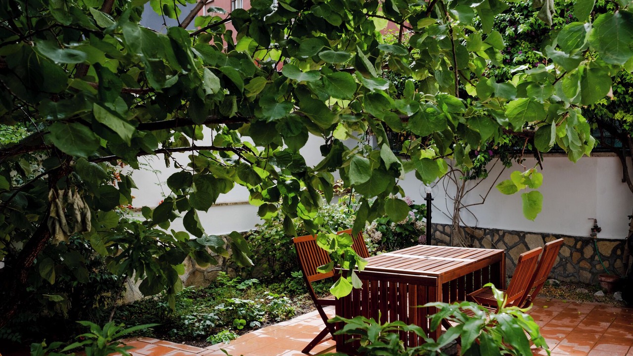 Photo of Outdoor in Universita