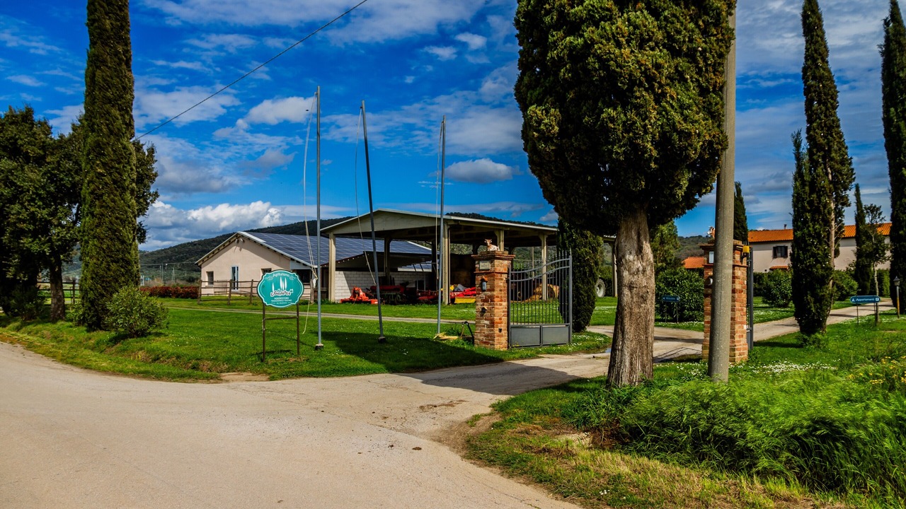 Photo of Outdoor in Braccagni