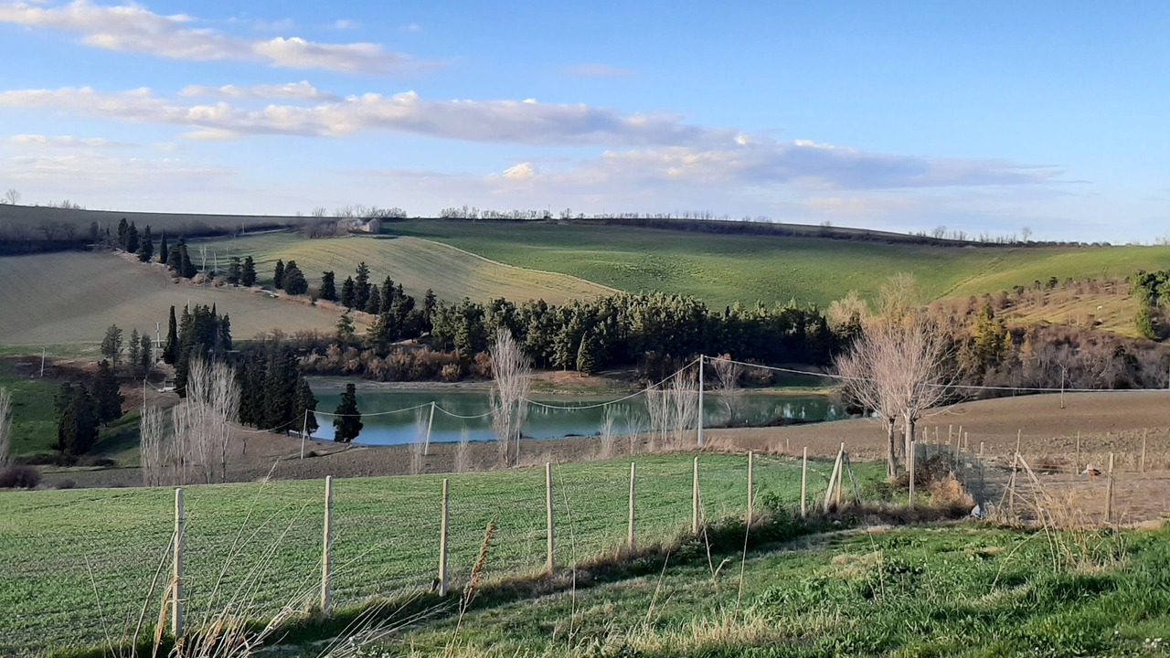 Photo of Outdoor in Monte Porzio