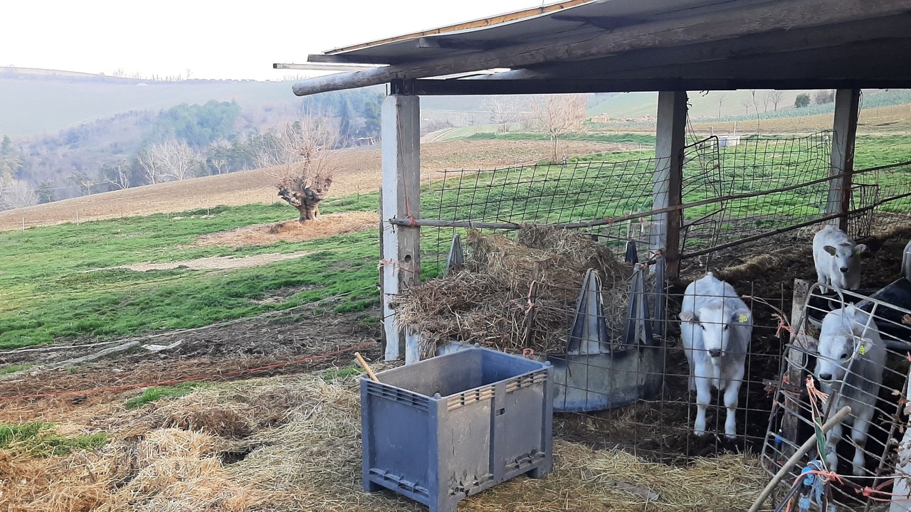 Photo of Outdoor in Monte Porzio