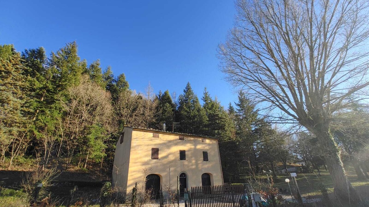 Photo of Outdoor in Montieri