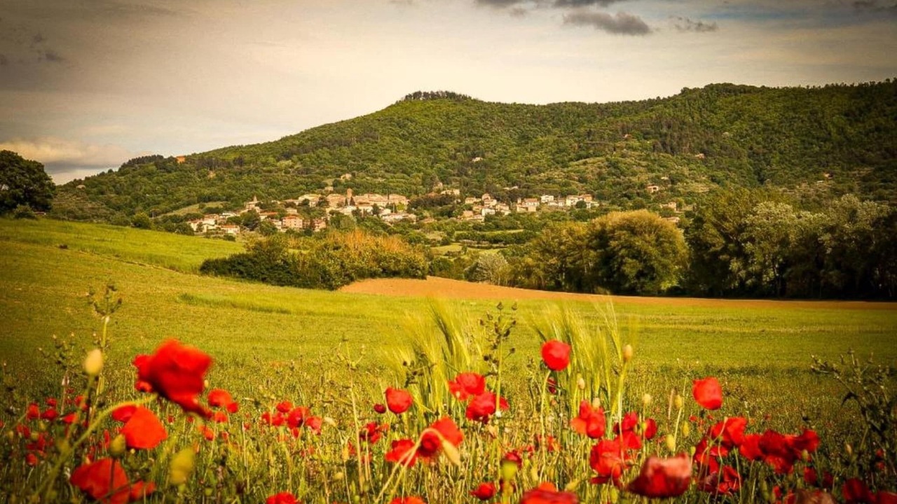 Photo of Others in Paciano