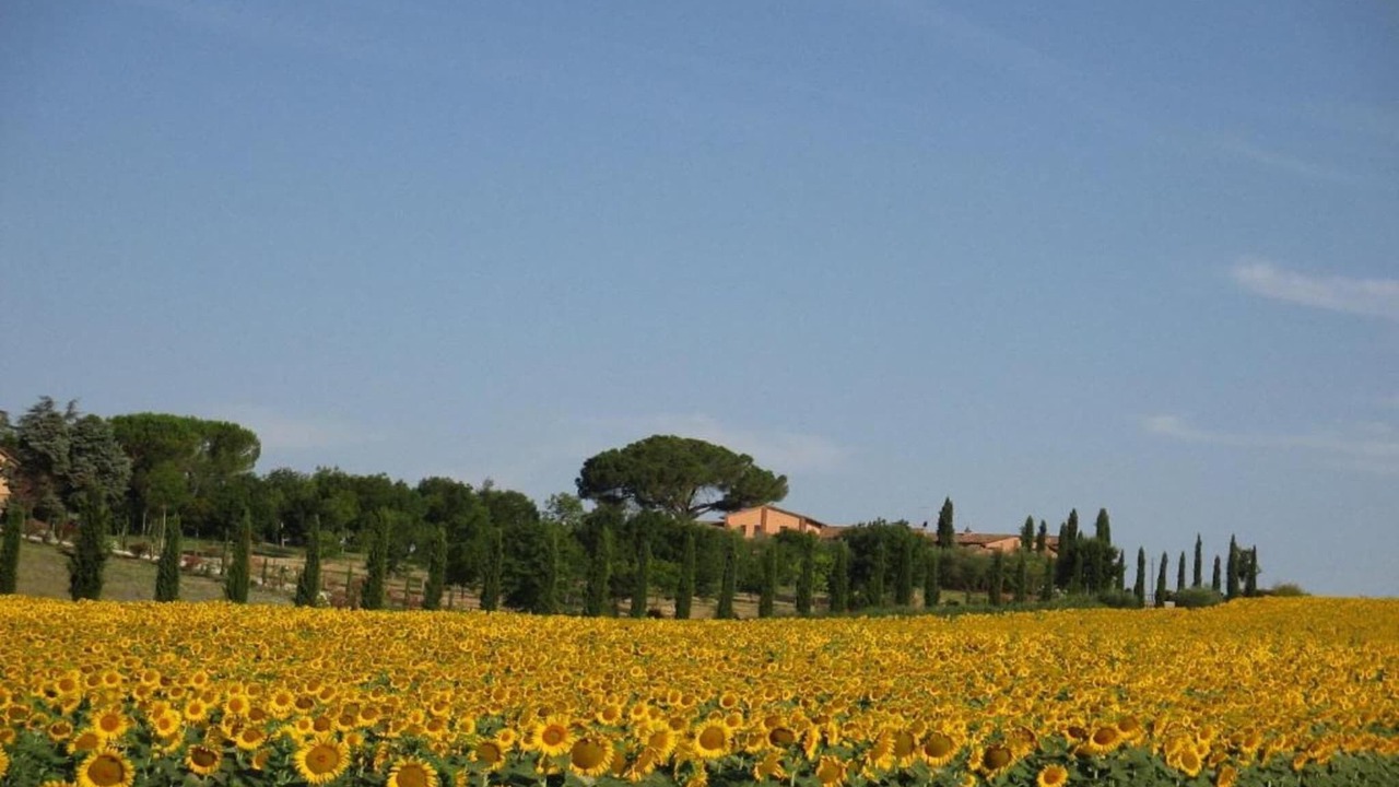 Photo of Others in Paciano