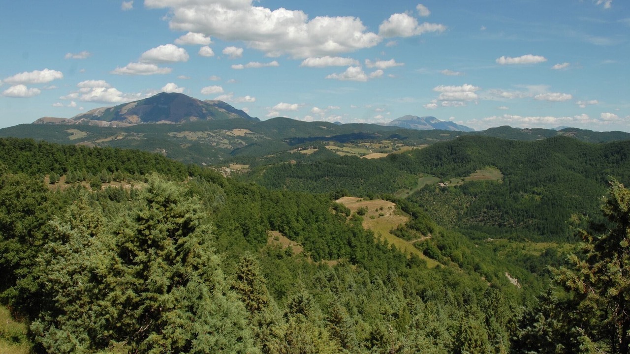 Photo of Others in Apecchio