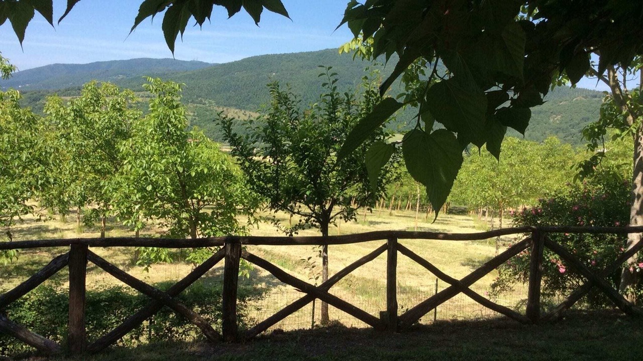 Photo of Others in Monterchi