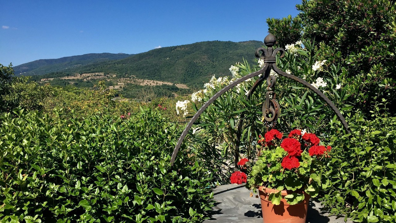 Photo of Outdoor in Monterchi
