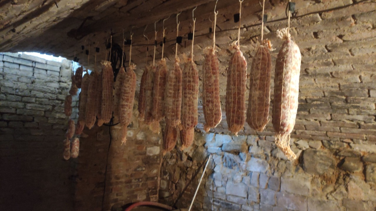 Photo of Others in Torrazza Coste