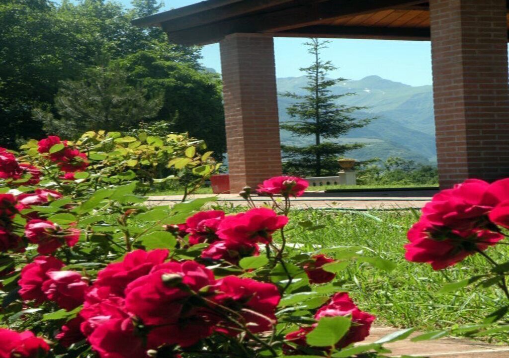 Photo of Outdoor in Montefortino