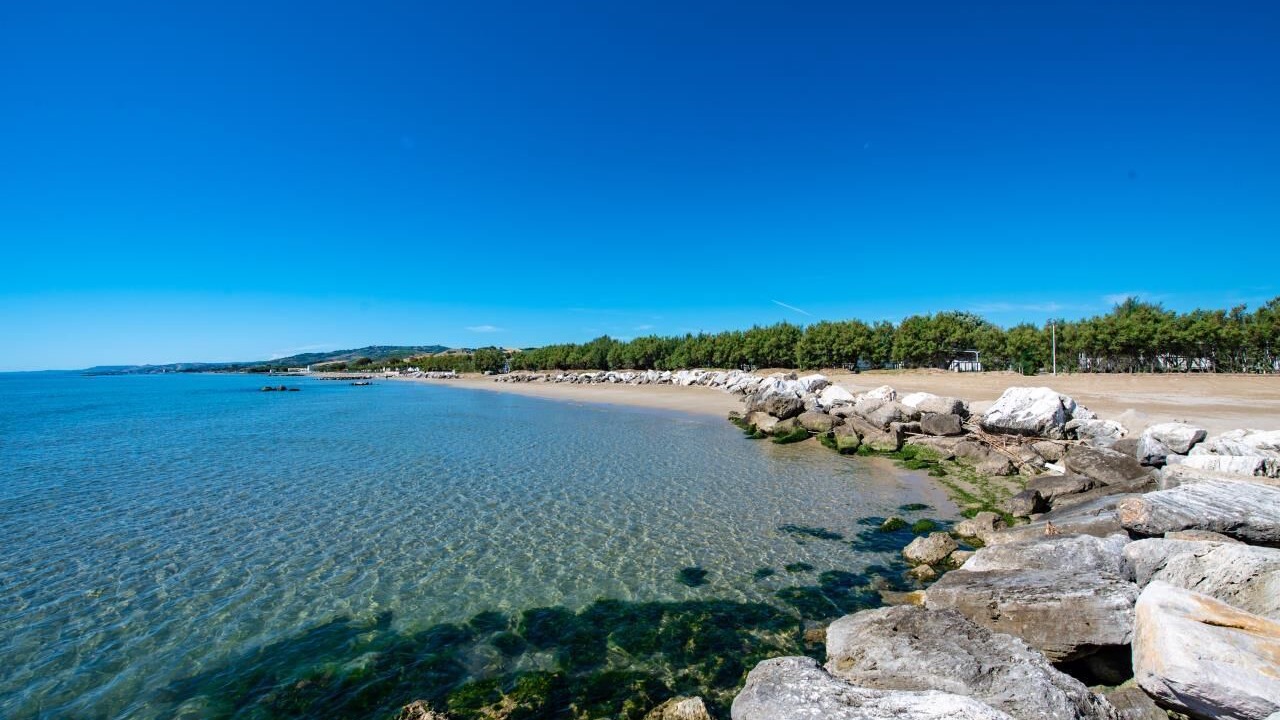 Photo of Others in Cologna Spiaggia