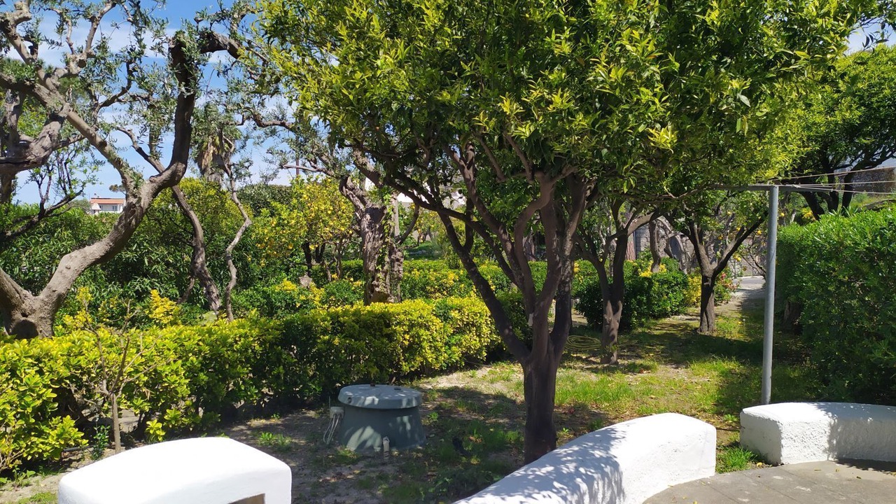 Photo of Outdoor in Forio