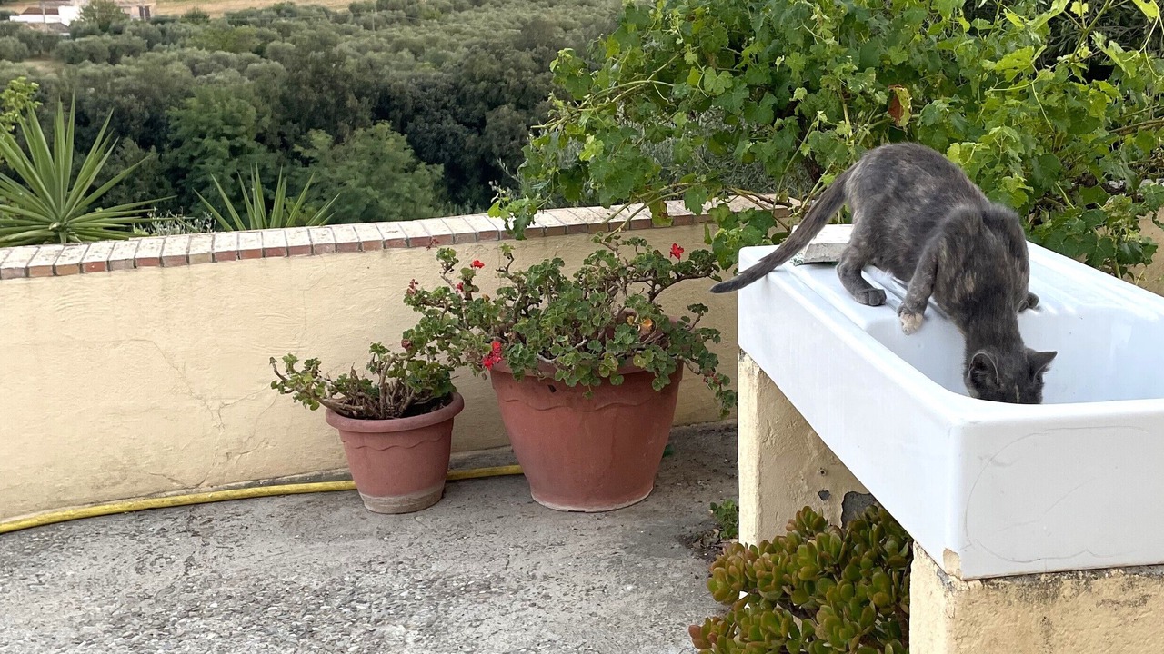 Photo of Outdoor in Pisticci