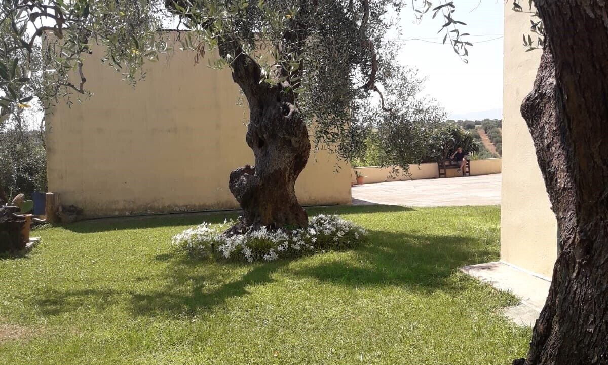Photo of Outdoor in Pisticci